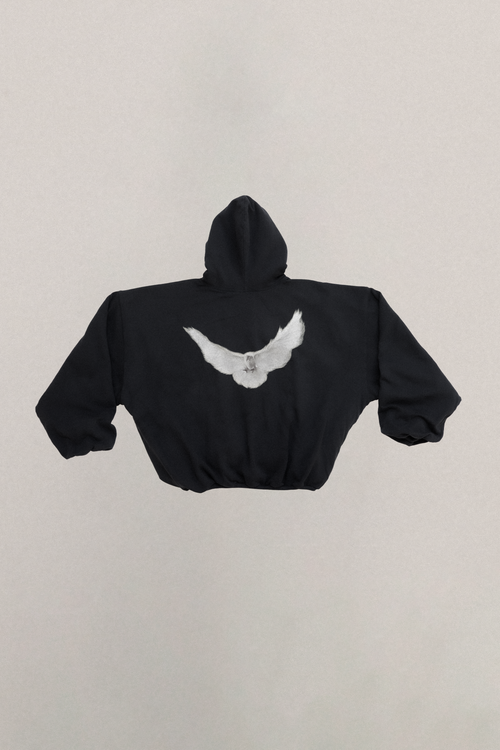 UNRELEASED DOVE HOODIE